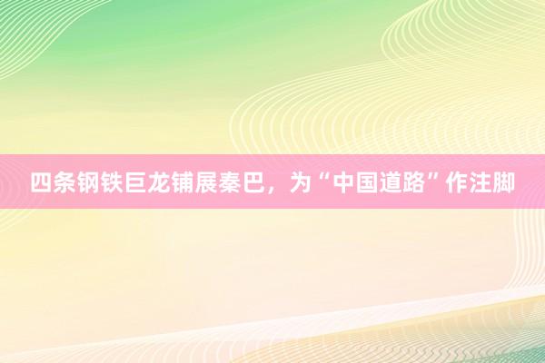 四条钢铁巨龙铺展秦巴，为“中国道路”作注脚