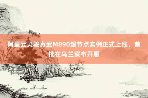 阿里云灵骏真武M890超节点实例正式上线，首批在乌兰察布开服