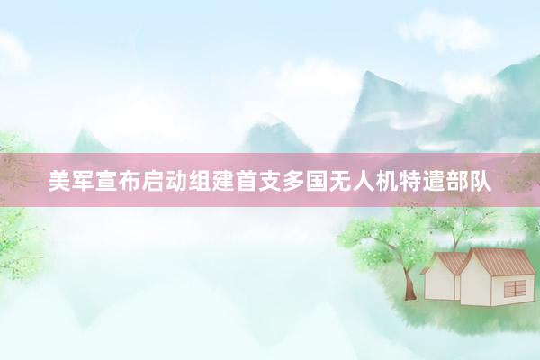 美军宣布启动组建首支多国无人机特遣部队
