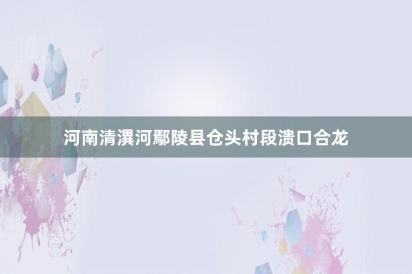 河南清潩河鄢陵县仓头村段溃口合龙