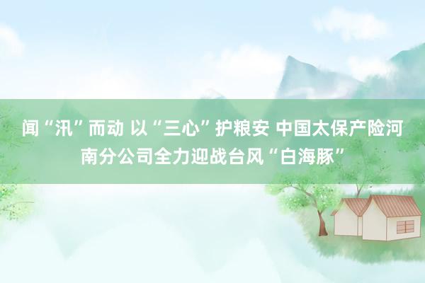 闻“汛”而动 以“三心”护粮安 中国太保产险河南分公司全力迎战台风“白海豚”