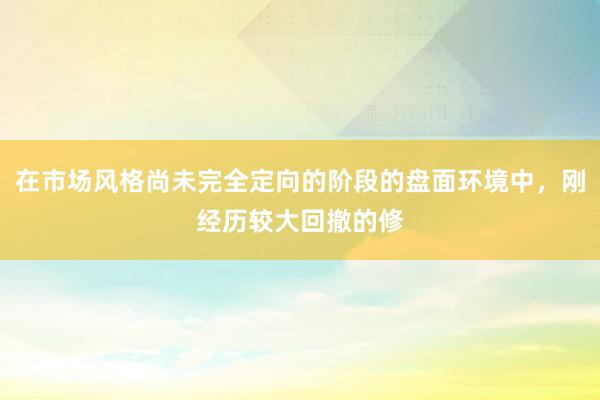在市场风格尚未完全定向的阶段的盘面环境中，刚经历较大回撤的修