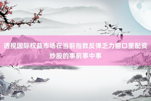 透视国际权益市场在当前指数反弹乏力窗口里配资炒股的事前事中事