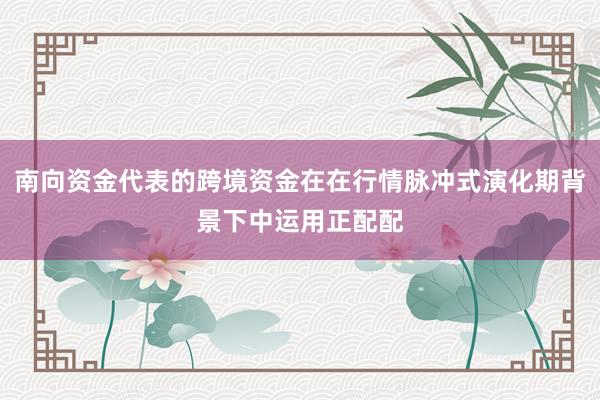 南向资金代表的跨境资金在在行情脉冲式演化期背景下中运用正配配