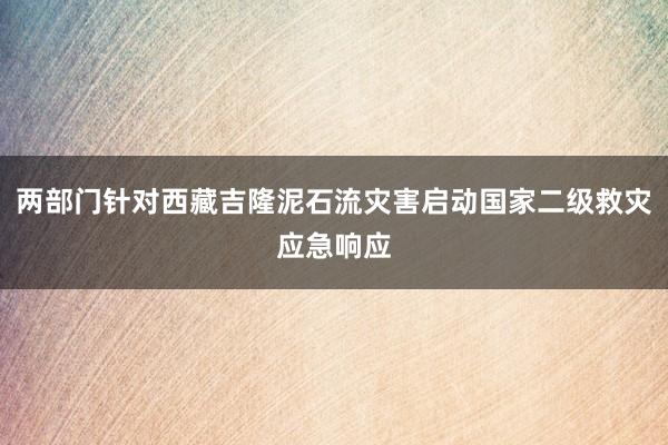 两部门针对西藏吉隆泥石流灾害启动国家二级救灾应急响应