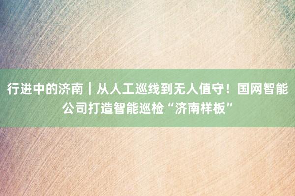行进中的济南｜从人工巡线到无人值守！国网智能公司打造智能巡检“济南样板”