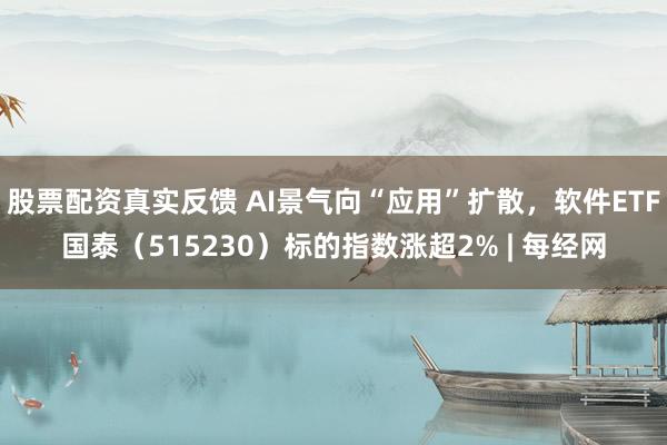 股票配资真实反馈 AI景气向“应用”扩散，软件ETF国泰（515230）标的指数涨超2% | 每经网