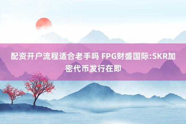 配资开户流程适合老手吗 FPG财盛国际:SKR加密代币发行在即