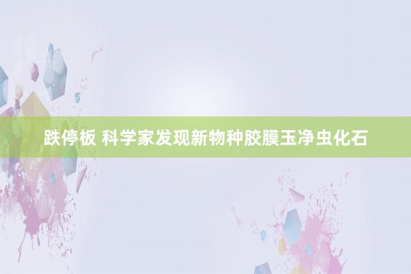 跌停板 科学家发现新物种胶膜玉净虫化石