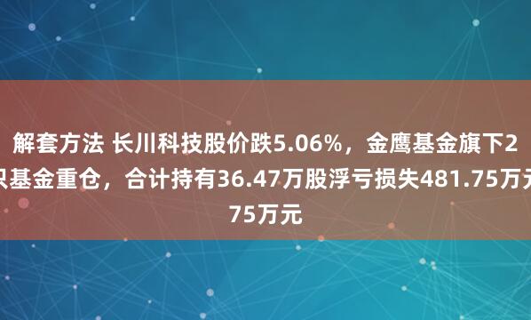 解套方法 长川科技股价跌5.06%，金鹰基金旗下2只基金重仓，合计持有36.47万股浮亏损失481.75万元