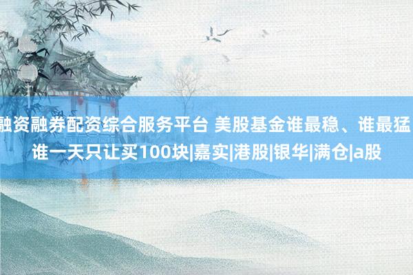 融资融券配资综合服务平台 美股基金谁最稳、谁最猛、谁一天只让买100块|嘉实|港股|银华|满仓|a股