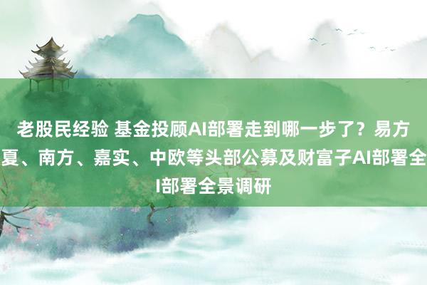 老股民经验 基金投顾AI部署走到哪一步了？易方达、华夏、南方、嘉实、中欧等头部公募及财富子AI部署全景调研